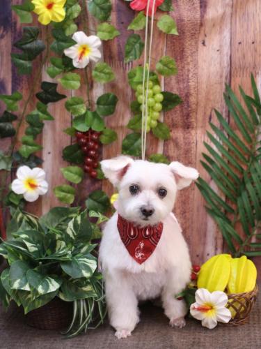 20230826ヒメちゃん